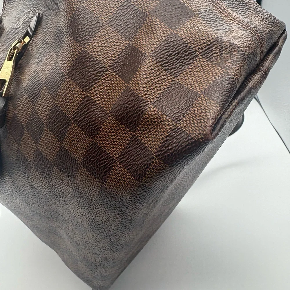 Louis Vuitton Iena PM Damier Ebene bag